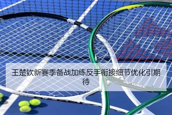 王楚钦新赛季备战加练反手衔接细节优化引期待